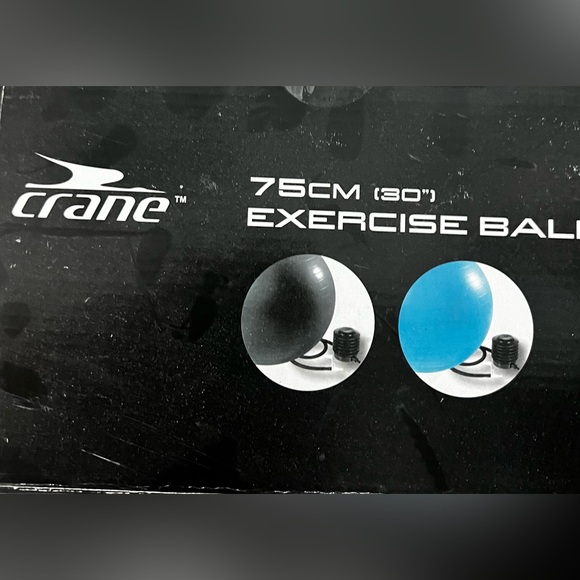 🆕 75cm Exercise Ball with Foot Pump & Fitness Guide | Anti-burst | Dark Gray - Picture 3 of 7